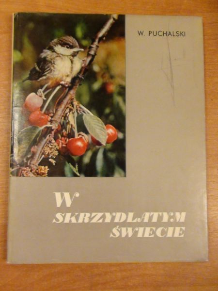 W skrzydlatym świecie