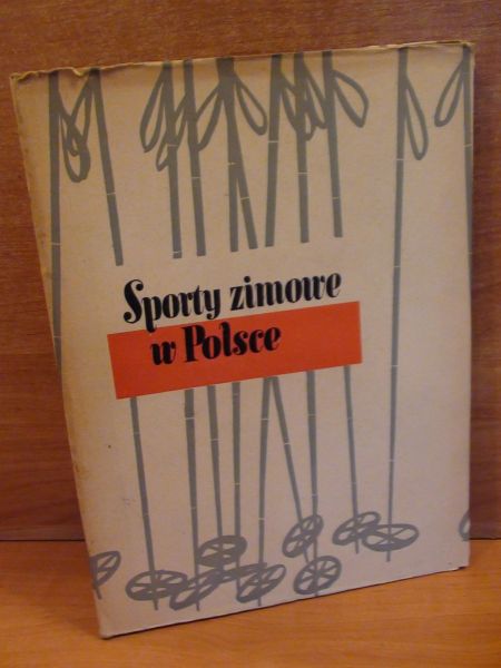 Sporty zimowe w Polsce