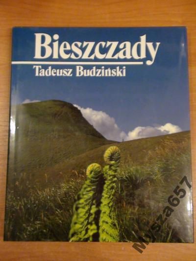 BIESZCZADY fotografia