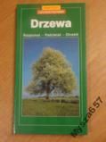 Drzewa