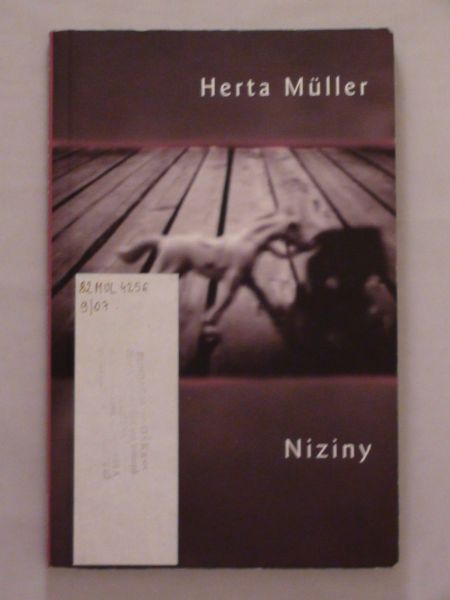Niziny