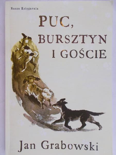 Grabowski Jan  - Puc, Bursztyn i goście