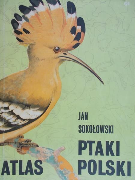Sokołowski Jan - Ptaki Polski