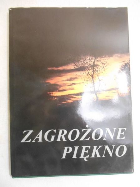 Kubowicz Dorota (red.) - Zagrożone piękno