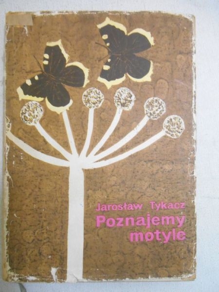 Tykacz Jarosław - Poznajemy motyle