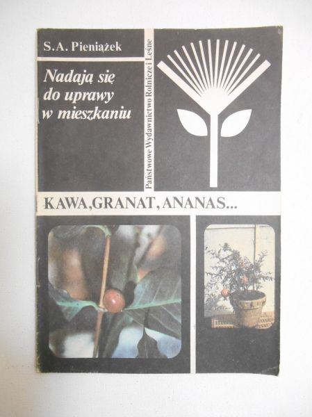 Pieniążek S.A. - Nadają się do uprawy w mieszkaniu kawa, granat, ananas