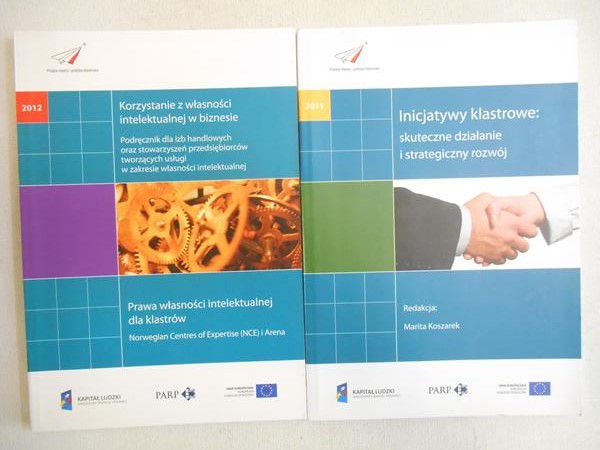 Marita Koszrek / Arena - Inicjatywy klastrowe: skuteczne działanie i strategiczny rozwój / Korzystanie z własności intelektualnej w biznesie