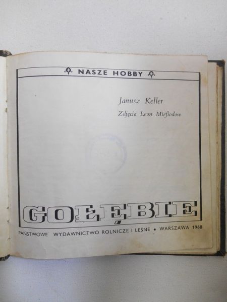 Keller Janusz - Gołębie