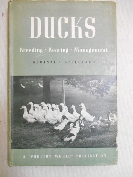 Appleyard Reginald - Ducks