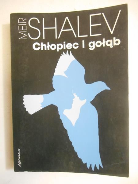 Shalev Meir - Chłopiec i gołąb