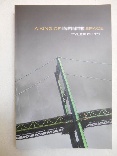 Dilts Tyler  - A king of infinite space