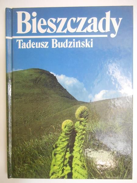 Budziński Tadeusz - Bieszczady