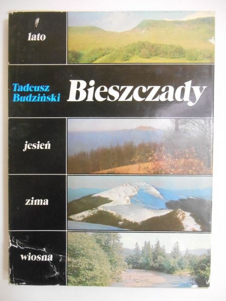 Budziński Tadeusz - Bieszczady