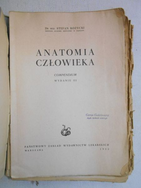 Różycki Stefan - Anatomia człowieka