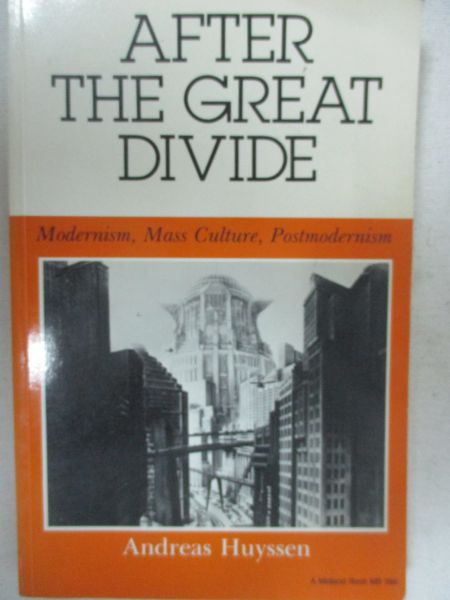 Huyssen Andreas - After the Great Divide