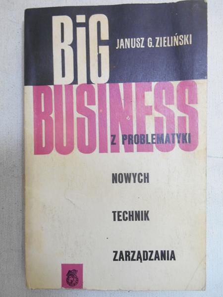 Zieliński G. Janusz - Big business: z problematyki nowych technik zarządzania