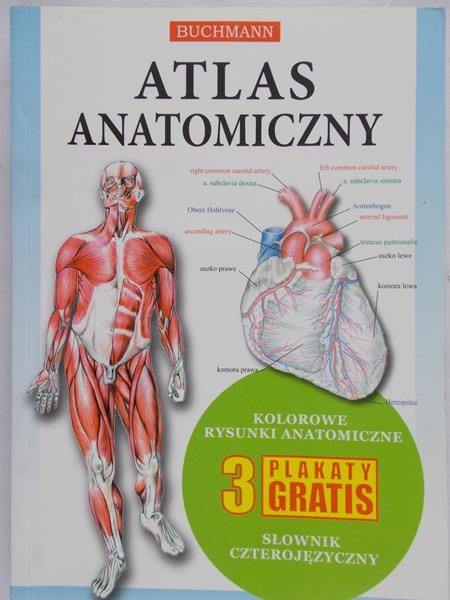 Atlas anatomiczny