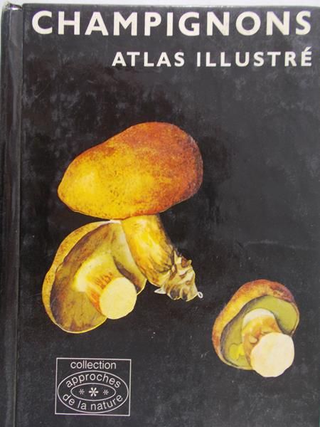 Pilat Albert - Mały atlas grzybów