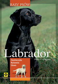Wader Heike - Labrador Rasy psów