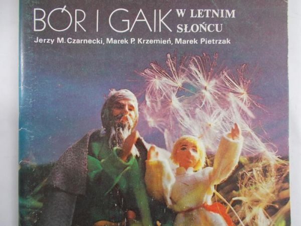 Czarnecki Jerzy M. - Bór i gaik w letnim słońcu