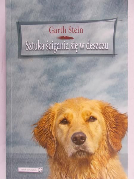 Stein Garth - Sztuka ścigania się w deszczu