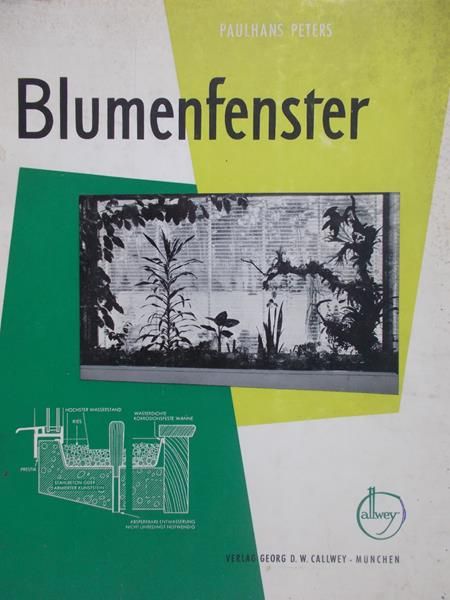 Peters Paulhans  - Blumenfenster