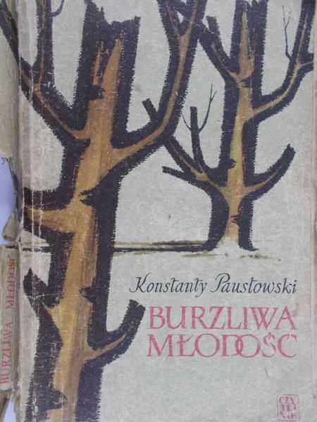 Paustowski Konstanty - Burzliwa młodość