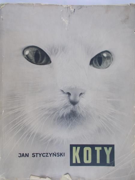 Styczyński Jan - Koty