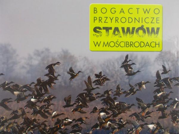 Bogactwo Przyrodnicze stawów w mościbrodach
