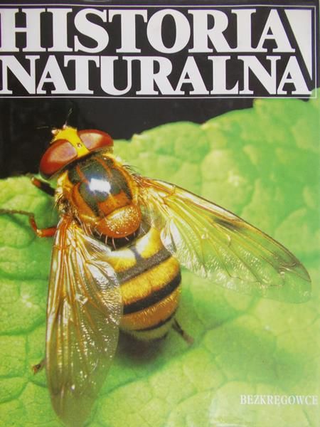 Zasieczny Andrzej - Historia naturalna. Bezkręgowce