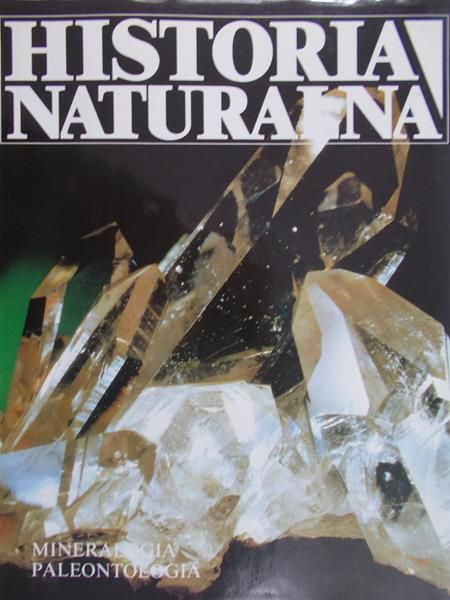 Zasieczny Andrzej - Historia naturalna. Geologia