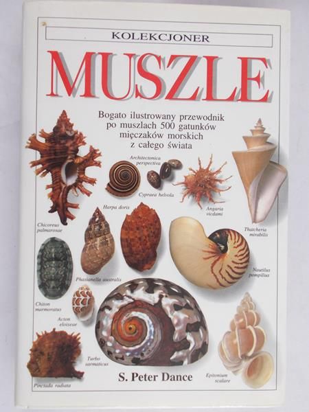 Dance Peter S. - Muszle