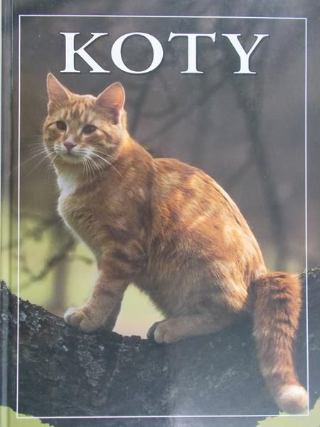 Rixon Angela - Koty rasowe