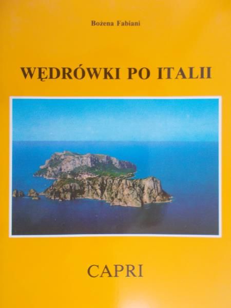Fabiani Bożena - Wędrówki po Italii