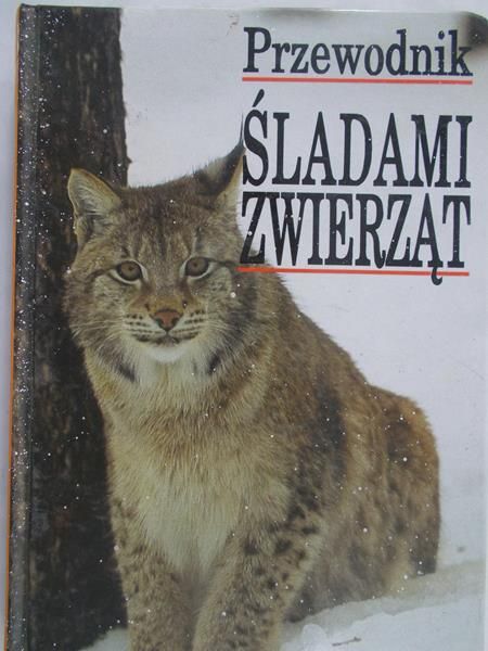 Bouchner Miroslav - Przewodnik. Śladami zwierząt