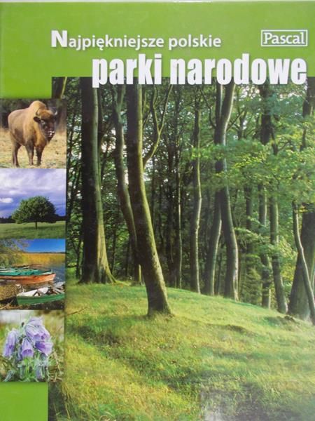 Najpiękniejsze Polskie Parki Narodowe