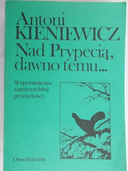 Kieniewicz Antoni - Nad Prypecią, dawno temu...