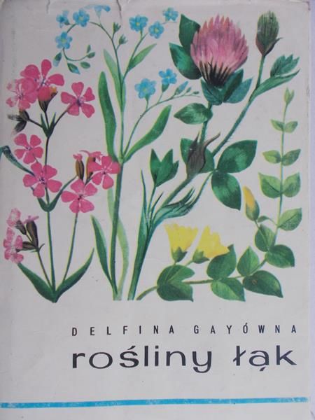 Gayówna Delfina - Rośliny łąk