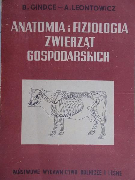 Gindce B. - Anatomia i fizjologia zwierząt gospodarskich