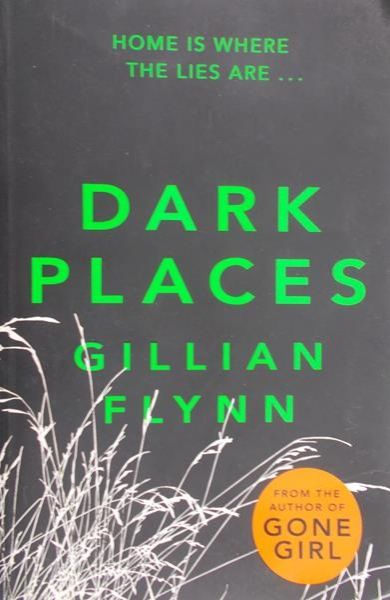Flynn Gillian - Dark places