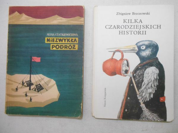 Brzozowski Z. /  Centkiewiczowa A.  - Kilka czarodziejskich historii / Niezwkła podróż