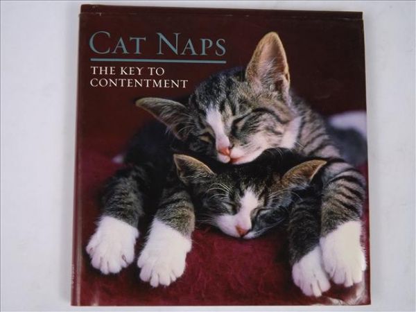 Cat Naps: The Key to Contentment