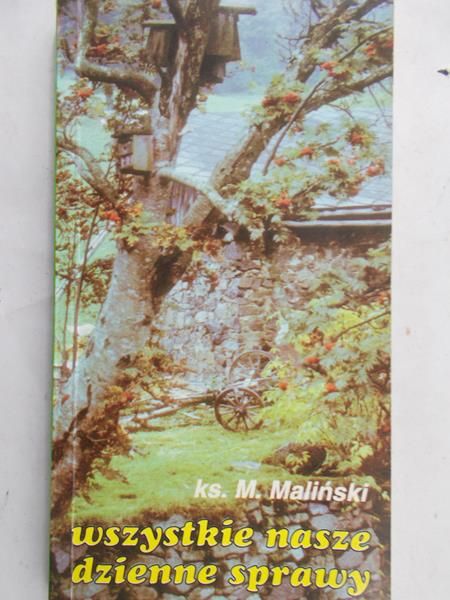 Maliński M. - Wszystkie nasze dzienne sprawy