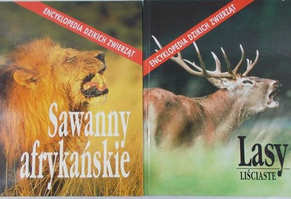 Sawanny afrykańskie / Lasy liściaste