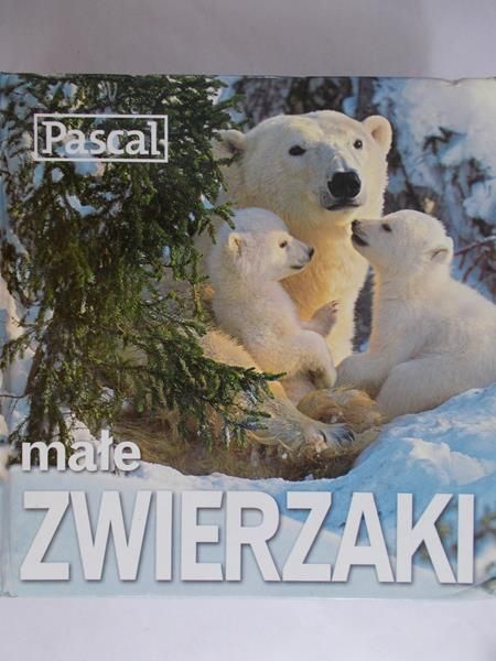 Małe zwierzęta