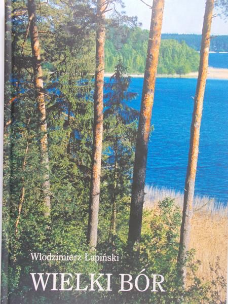 Łapiński Włodzimierz - Wielki Bór