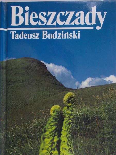 Budziński Tadeusz - Bieszczady