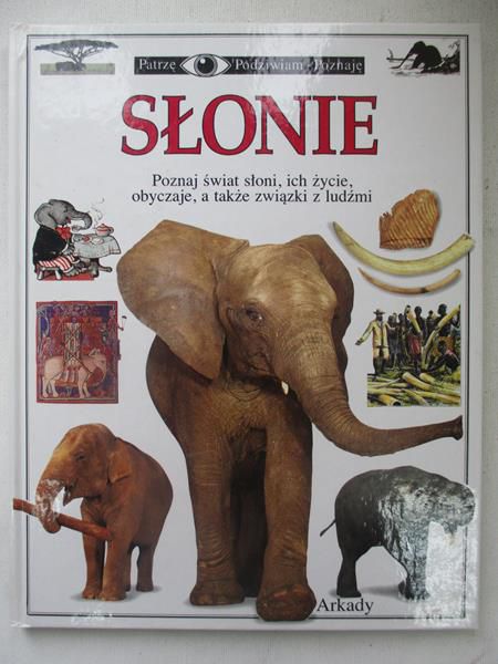 Redmond Ian - Słonie