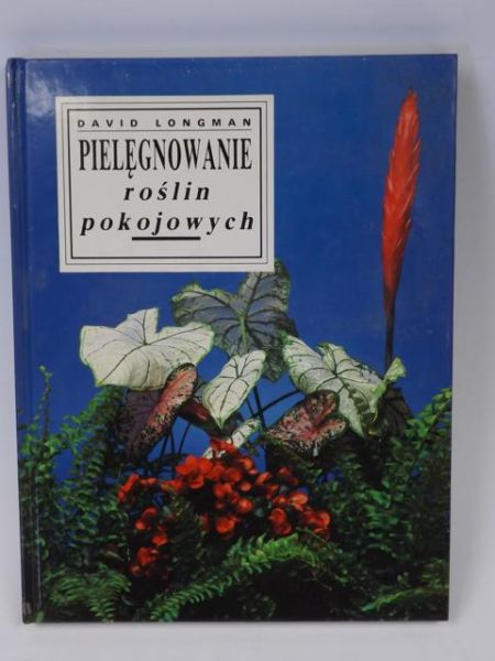 Pielęgnowanie roślin pokojowych
