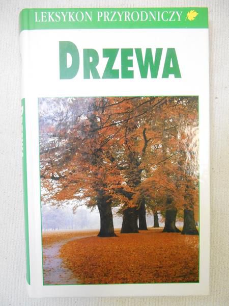 Kremer Bruno T. - Drzewa